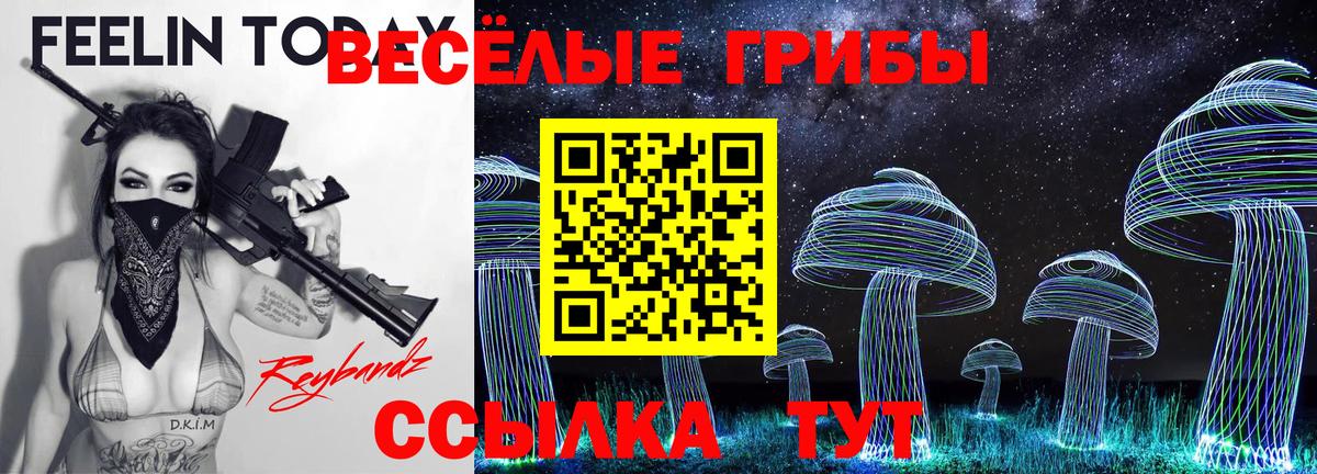 как найти наркотики  Вход с VPN  Дербент  Псилоцибиновые грибы Magic Shrooms  Галлюциногенные грибы Psilocybine cubensis 